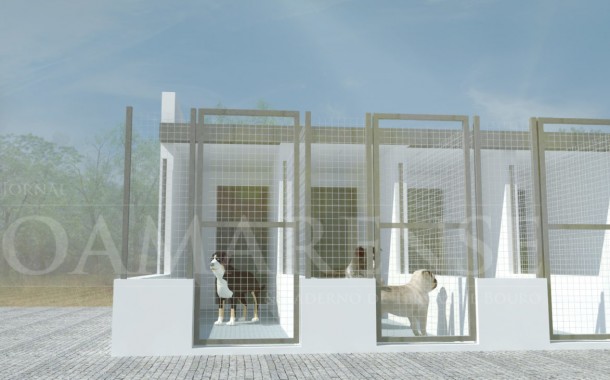 Já há projecto para criar canil municipal de Amares