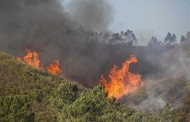 Homem detido por incêndio florestal em Guimarães