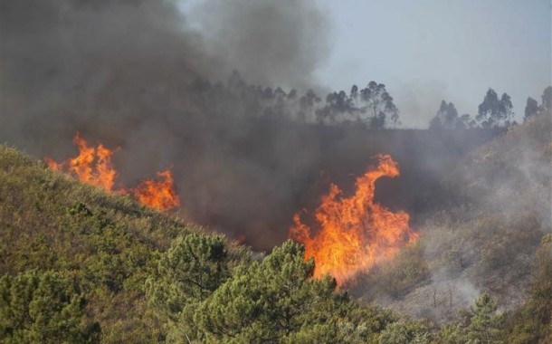 Homem detido por incêndio florestal em Guimarães