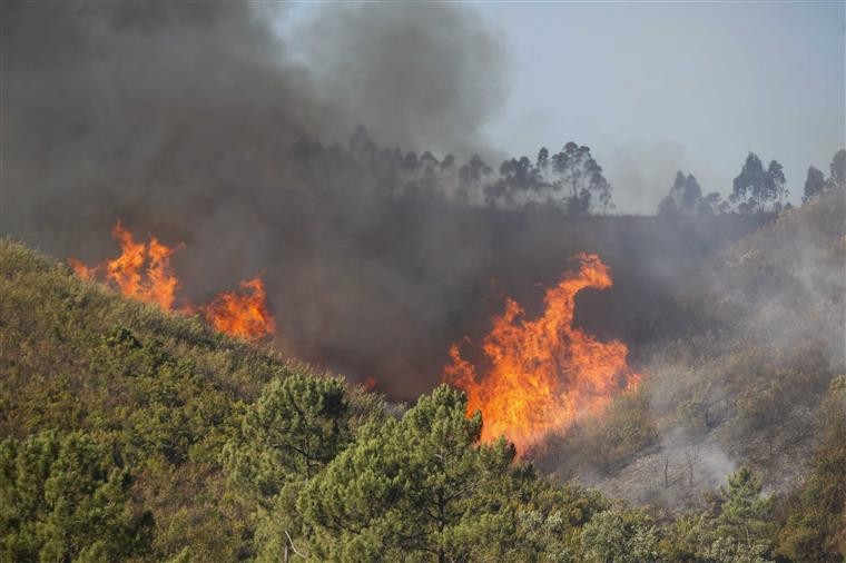 Homem detido por incêndio florestal em Guimarães