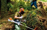 Limpeza de Terrenos Florestais até 15 de Março