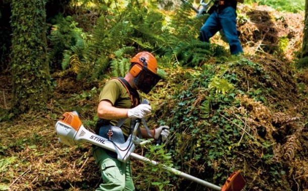 Limpeza de Terrenos Florestais até 15 de Março
