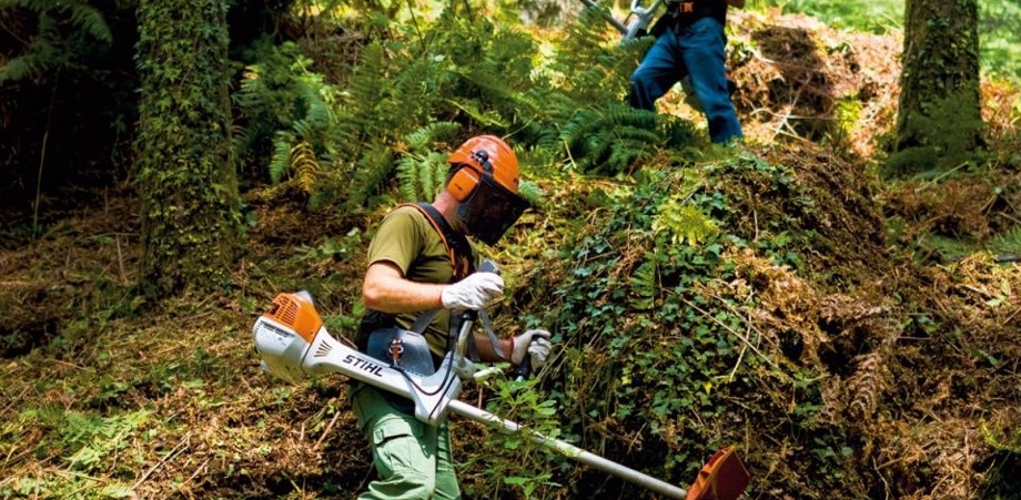 Limpeza de Terrenos Florestais até 15 de Março
