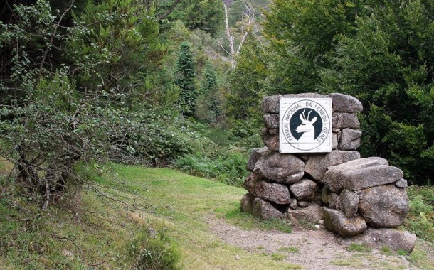 Terras de Bouro: Alegado jogo sexual acaba mal para turista alemã no Gerês