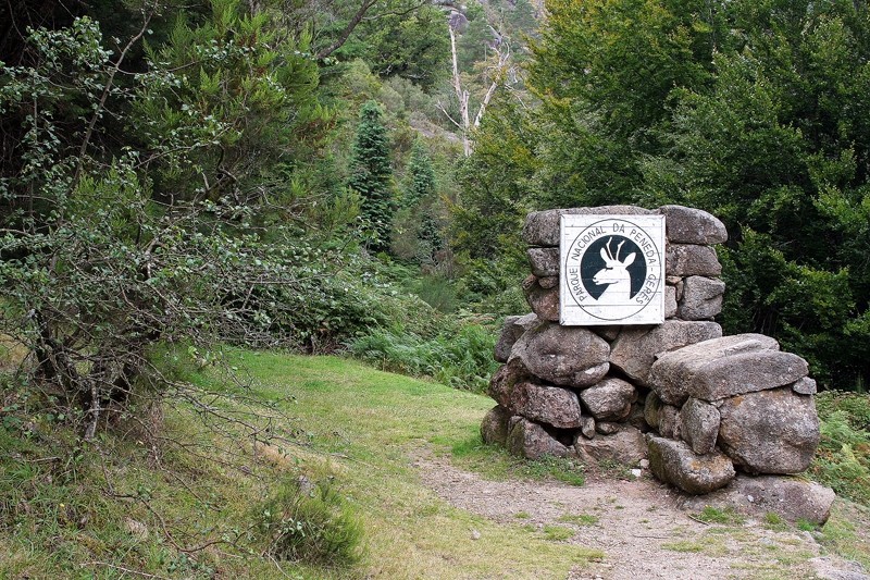 Terras de Bouro: Alegado jogo sexual acaba mal para turista alemã no Gerês
