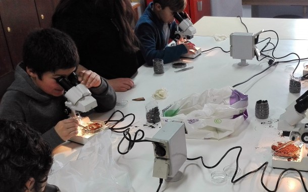 Cerca de 800 alunos acompanhados pelo programa Rumo ao Sucesso Escolar em Esposende