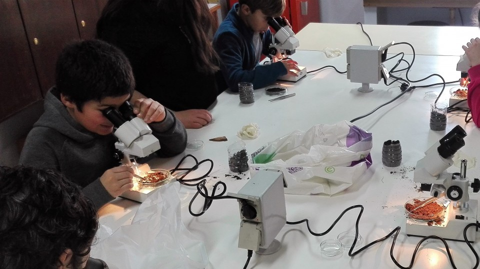 Cerca de 800 alunos acompanhados pelo programa Rumo ao Sucesso Escolar em Esposende