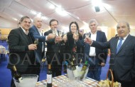 Amares afirma-se como território de excelência na produção de vinho loureiro