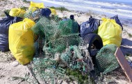Voluntários limpam praias e zonas ribeirinhas de Esposende