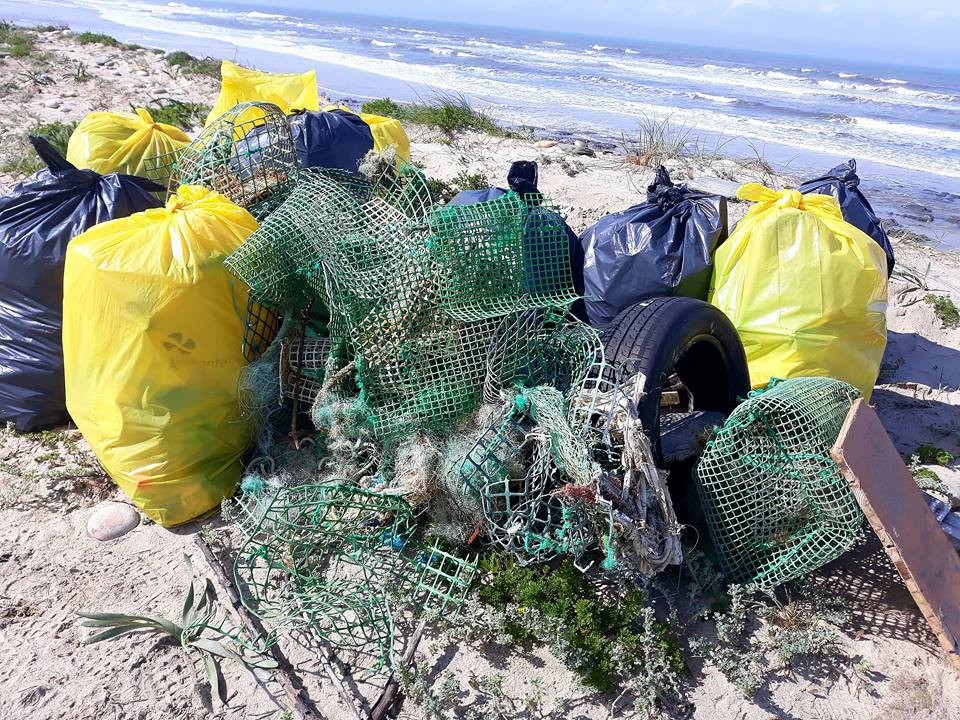 Voluntários limpam praias e zonas ribeirinhas de Esposende