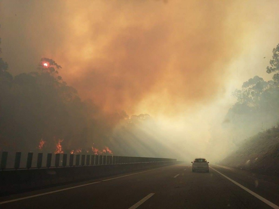 Incendio: A28 reaberta ao trânsito em Esposende. Escolas reabrem esta quarta-feira