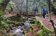 Caminho Braga-Santiago percorrido pela primeira vez por grupo dos Açores