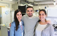 Universidade de Aveiro cria vacina da gripe em pastilhas à base de gemas de ovos