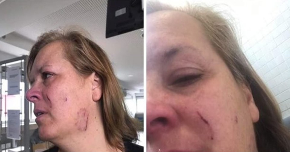 Pastor Alemão ataca mulher e mata cão em Braga