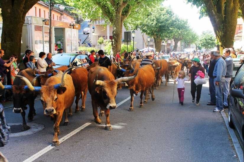 Terras de Bouro: Vezeira sobe à serra no próximo domingo