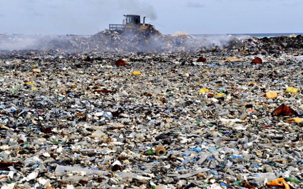 Marcelo pede “mudança radical de hábitos de vida” no Dia Mundial do Ambiente
