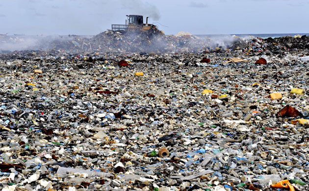 Marcelo pede “mudança radical de hábitos de vida” no Dia Mundial do Ambiente
