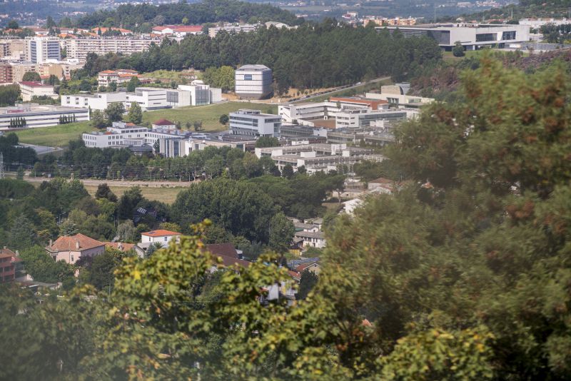 Universidade do Minho procura voluntárias com disfunção ovulatória para estudo sobre infertilidade