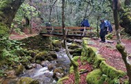 Associação Jacobeia do Caminho da Geira Minhoto Ribeiro pretende “uniformizar critérios” do caminho Braga a Santiago