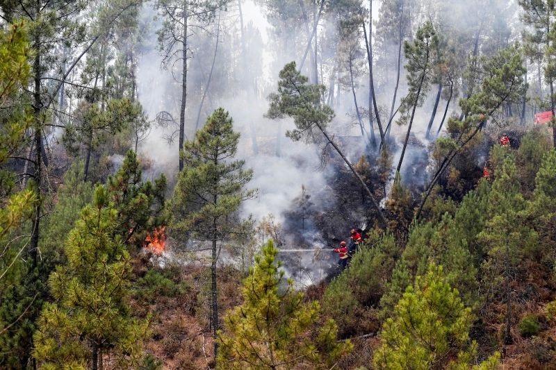 Caminha - Aldeias da serra d’Arga recebem no sábado meios para combater fogos