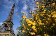 Autarquia de Paris declara estado de urgência climática