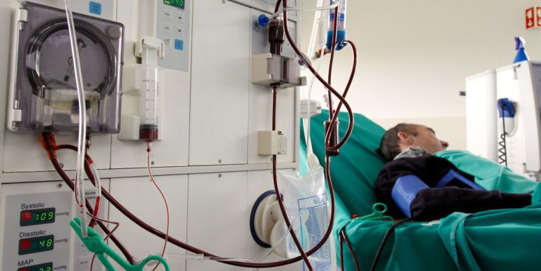 Investigadoras criam ferramenta para detectar rapidamente casos complexos de doentes renais