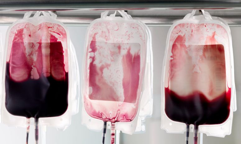 Instituto do Sangue apela à dádiva para manter reservas estáveis no Verão