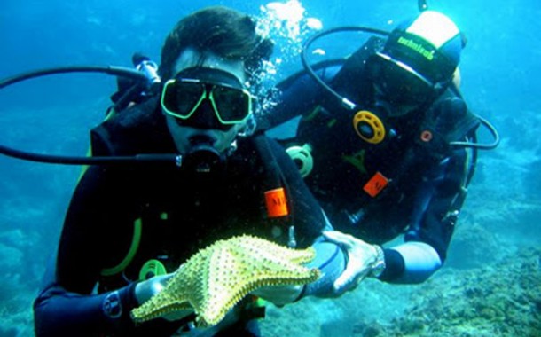 UMinho organiza 20.º Simpósio Ibérico de Biologia Marinha