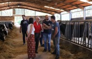 Legislativas: Carla Cruz (CDU) exige valorização do sector agrícola e fim da “concorrência desleal” estrangeira