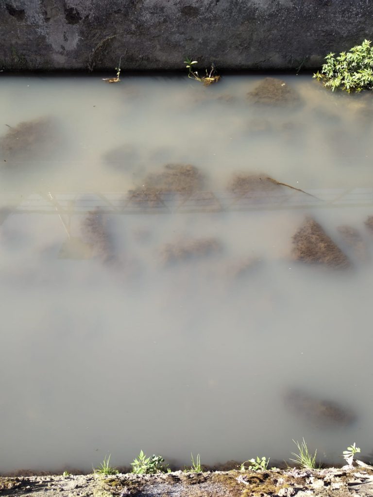 Descarga poluente mata peixes no Rio Este em Braga