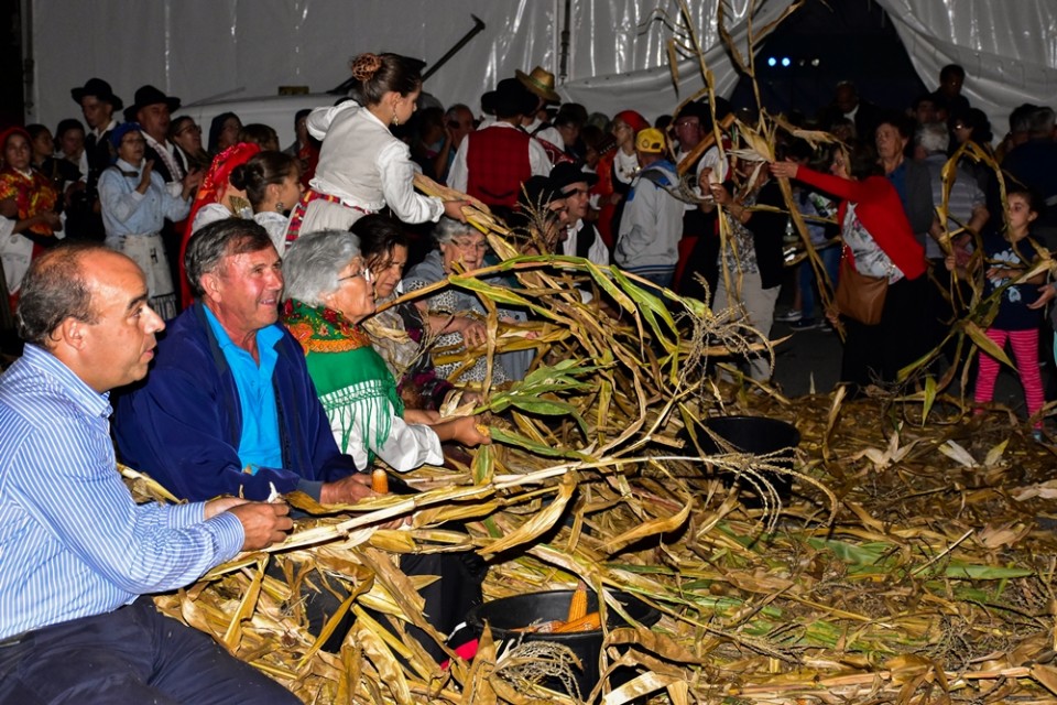 Tradição, cultura e muita diversão este fim-de-semana na VIII Festa das Colheitas de Prado