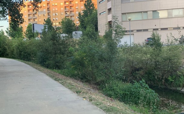Braga para Todos denuncia “tamanho elevado” da vegetação nos separadores das ruas e nas margens do rio Este