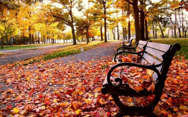 Outono começou esta segunda com temperaturas entre 20 e 23 graus e previsão de chuva no Minho