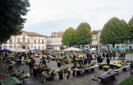 Tradicional Mercado das Flores de Braga regressa de 30 a 1 de Novembro