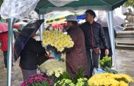 Tradicional Mercado das Flores abre sob chuva intensa