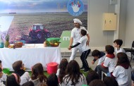 Programa ‘5 ao dia’ assinala 10 anos de sensibilização para alimentação saudável em Braga