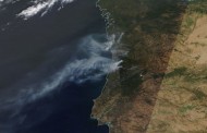 Portugal é o país com maior área ardida da UE pela segunda vez consecutiva