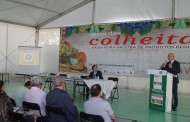 FESTA DAS COLHEITAS: Apicultura é sector em crescimento mas precisa de organização