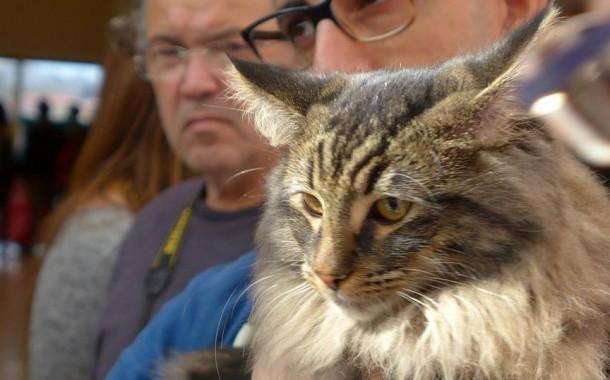Cães e Gatos mostram ‘vaidades’ na Expo Animal no Altice Forum Braga em Novembro