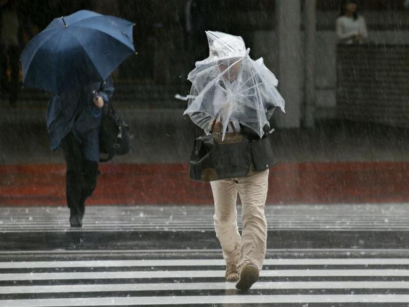 Dia de Todos os Santos sob aviso amarelo devido à chuva e vento de 95km/h