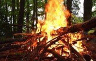 Queimadas de resíduos agrícolas prejudicam ambiente e saúde alerta estudo da Universidade de Aveiro
