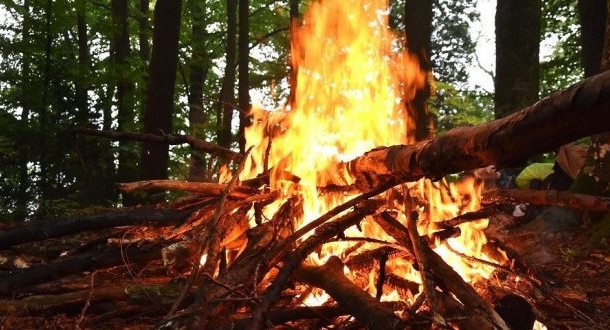 Queimadas de resíduos agrícolas prejudicam ambiente e saúde alerta estudo da Universidade de Aveiro