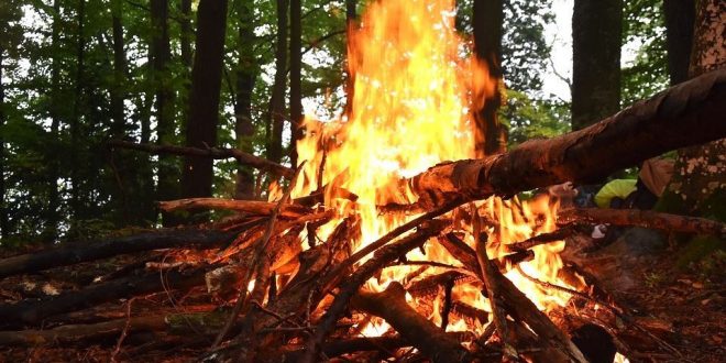 Queimadas de resíduos agrícolas prejudicam ambiente e saúde alerta estudo da Universidade de Aveiro