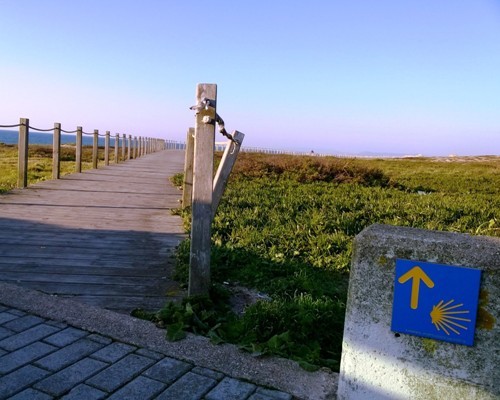 Viana do Castelo. Homem de 78 anos acusado de tentativa de violação de peregrina a caminho de Santiago