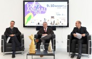 BRAGA - Expo Animal “memorável” abre portas este fim-de-semana à espera de 10 mil visitantes