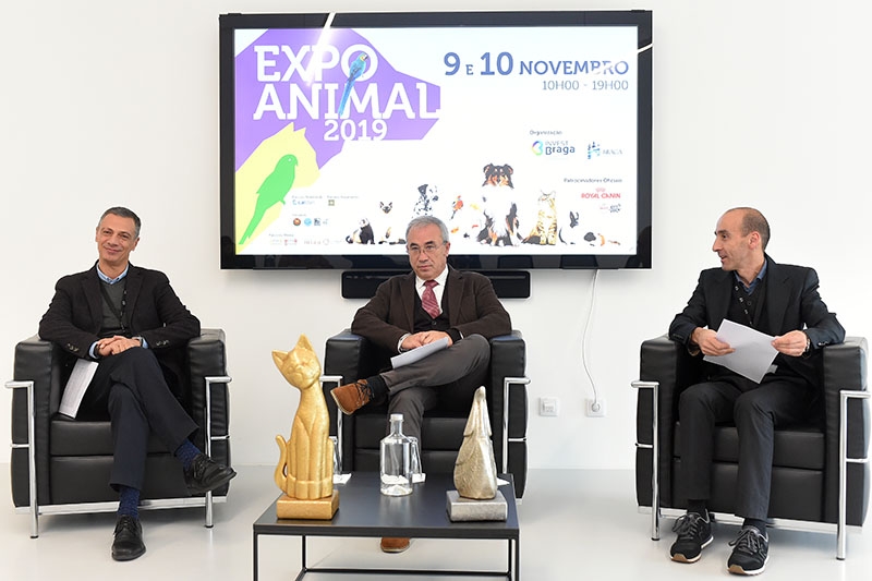BRAGA - Expo Animal “memorável” abre portas este fim-de-semana à espera de 10 mil visitantes