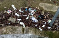 Braga para Todos acusa Câmara de “política de abandono” do Picoto