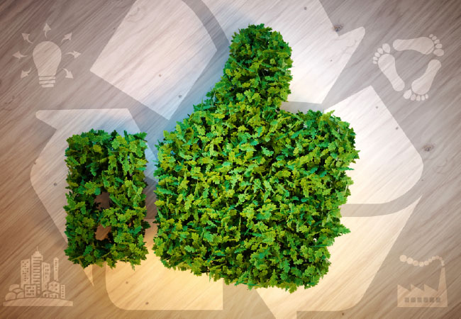 Aulas sobre alterações climáticas obrigatórias a partir de Setembro em Itália