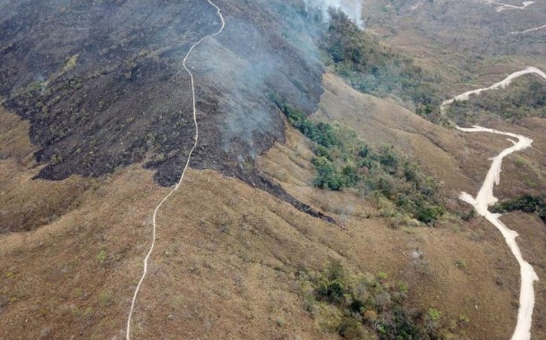 Desflorestação da Amazónia aumentou 80% em Setembro