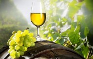 Acordo UE-China protege Vinho Verde de “imitações”